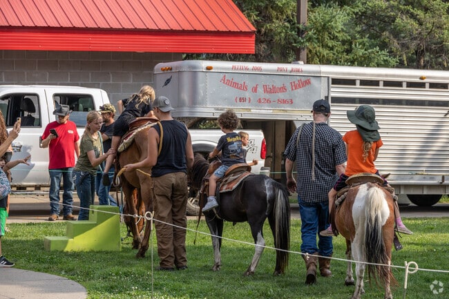 Race Night at Elko Speedway even offers a petting zoo and pony rides in Elko New Market.