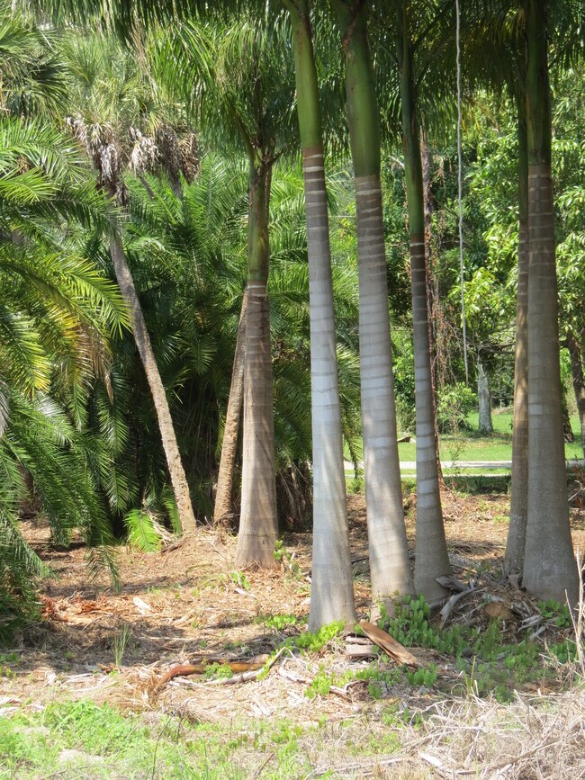 Palmesta Preserve