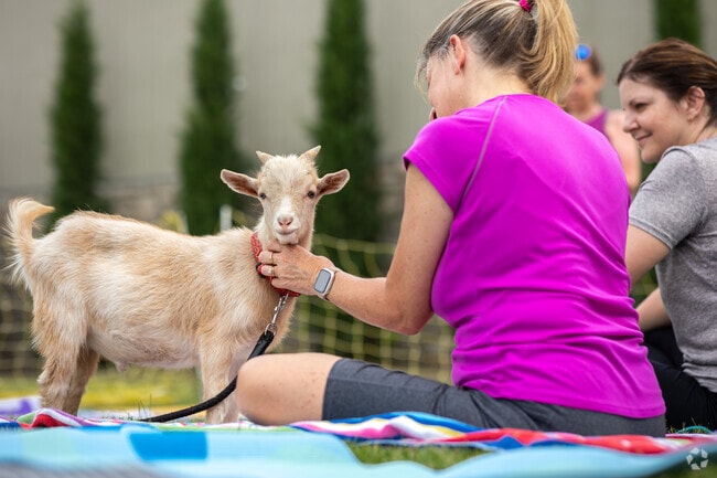 Blue Springs provides many outdoor recreational opportunities for its residents, like Goat Yoga with Mindy.