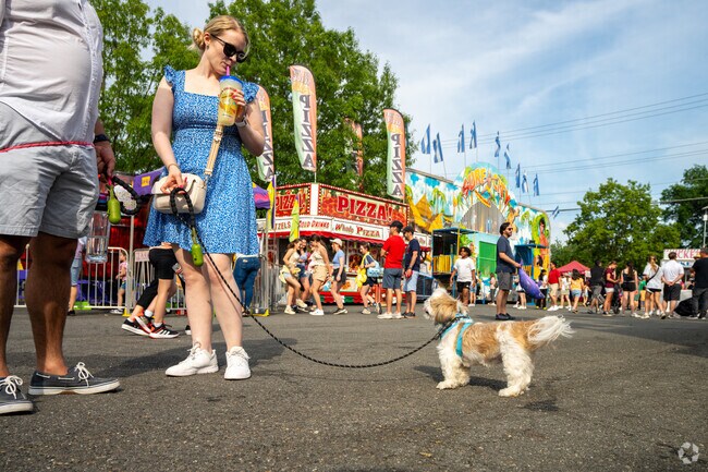 ViVa! Vienna! brings the community together with amusement rides, games, and more in Vienna.