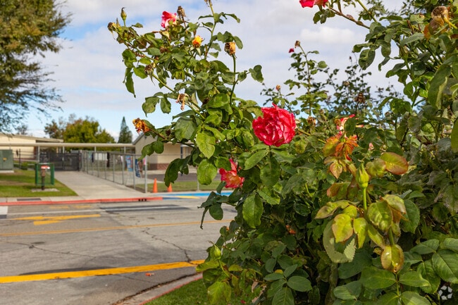 Earl Warren Elementary School is a fantastic school to get a quality education.