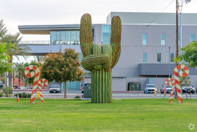 From sunrise to sunset, Indio City is awash in color.
