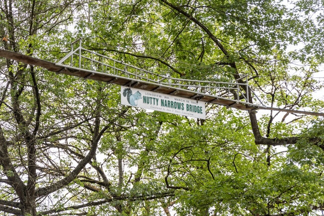 Between the trees, residents may spot a squirrel bridge which are unique to Longview.