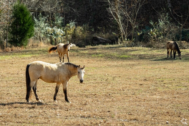 Many properties have horses and other livestock in Dacusville.