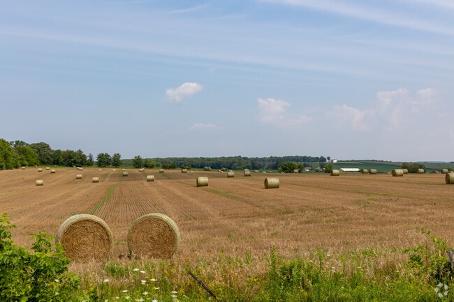 Farmland stretches around Byron in every direction.