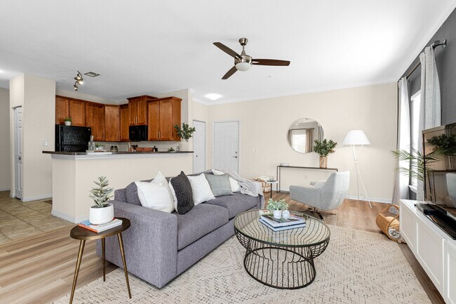 TGM University Park, Sarasota, FL 34243 - photo 3