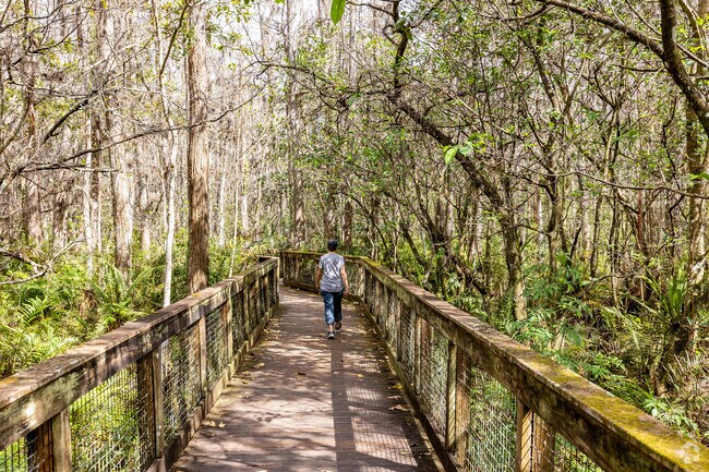 Take a stroll through the Arthur R. Marshall Nature Preserves, minutes from Valencia Pointe.