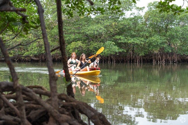The Oleta River in Eastern Shores is a great place to go kayaking.