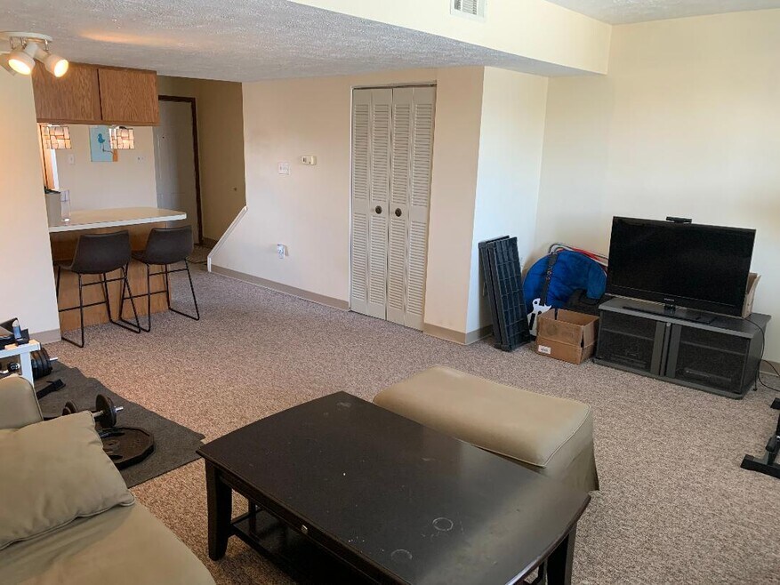 Living room/bar area