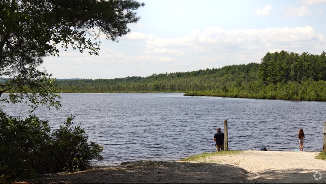 NH_Bow_557141_P2_V2_DW_080824