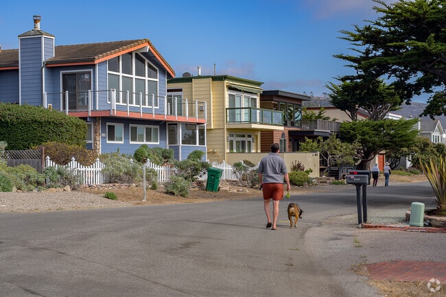 Take a walk with your furry friends and enjoy the coastal breeze in the neighborhood of Cambria.