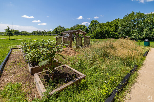 There is a community garden for the students at Sunset Elementary School.