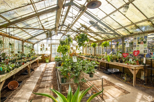 Many communal plants are housed inside the USF Botanical Gardens near University Hillsborough.