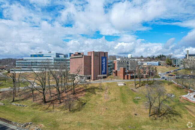 Bank Square is filled with Brandeis University spirit.