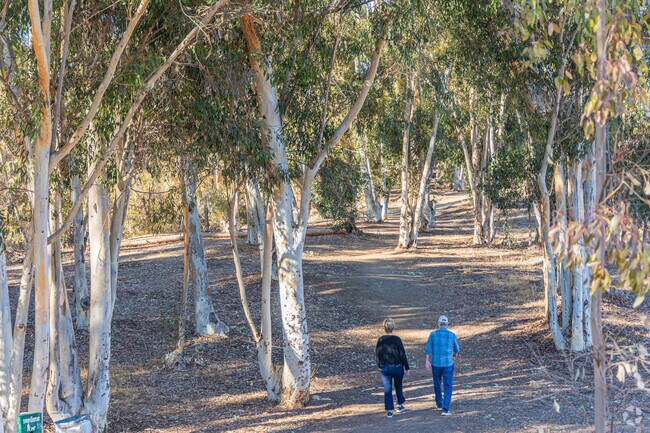 Damon Lane County Park offers about 30 acres of grassy hills and wooded trails.