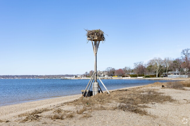 Leeds Beach in Plandome Manor is home to many ospry.