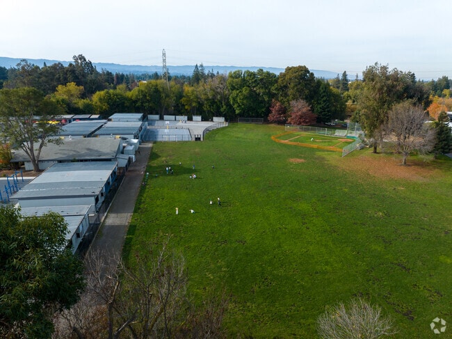 Learning blossoms at Yew Chung International School of Silicon Valley.