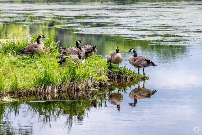 Residents enjoy the wildlife along the shores of Vadnais-Sucker Lake Regional Park.