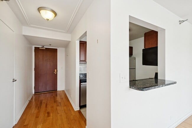 401 E Ontario St unit 1805, Chicago, IL 60611 - photo 4