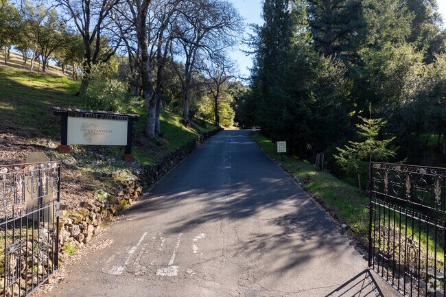 Los Gatos is a gateway to celebrated vineyards like Testarossa Winery.