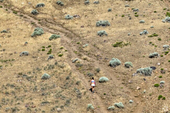 Raleigh Heights is an excellent environment for trail runners with endless trails.