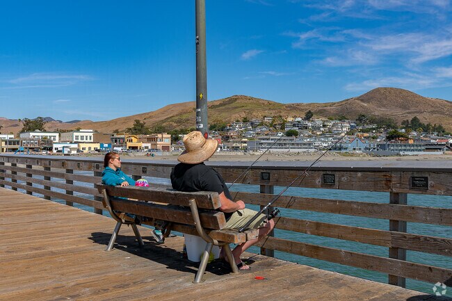 Relax and enjoy some fishing off the pier at Cayucos.