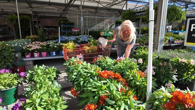 The local Home Depot on Washington Road has a superb garden center with staff eager to help.