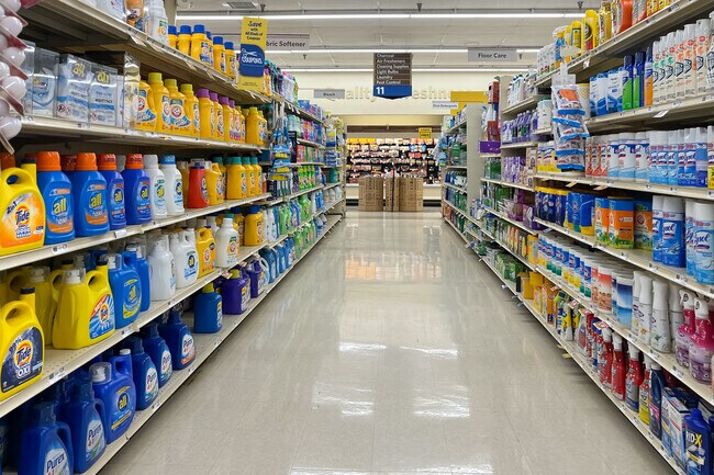 Shopping at food lion in Oakgrove