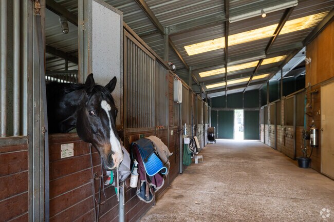 Dale residents can board their horses at the Wimbee Creek Equestrian Center.