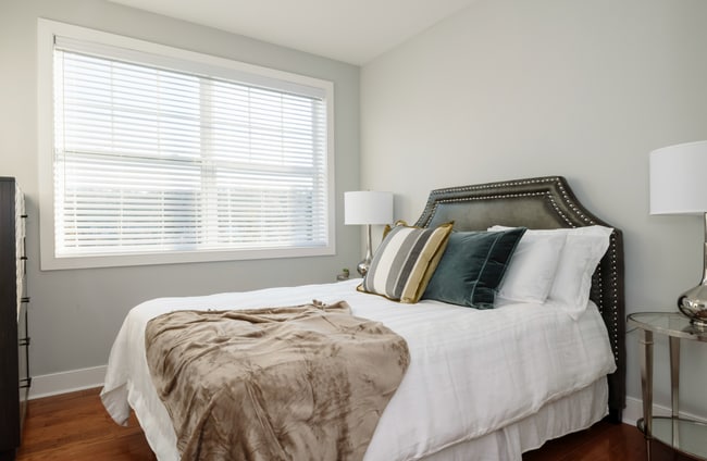 Meridia Transit Plaza, Dover, NJ 07801 - photo 2