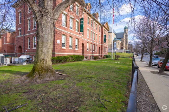 St Columbkille Partnership School in Brighton has an overall grade of A on Niche.