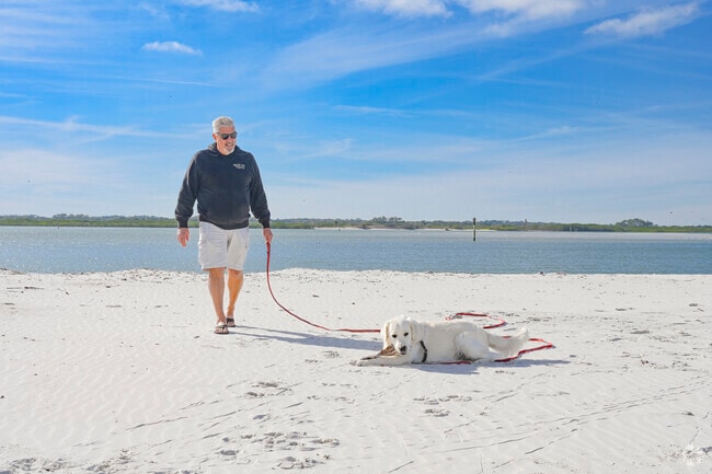 Bring your pup to the dog friendly swimming area at Lighthouse Point Park.