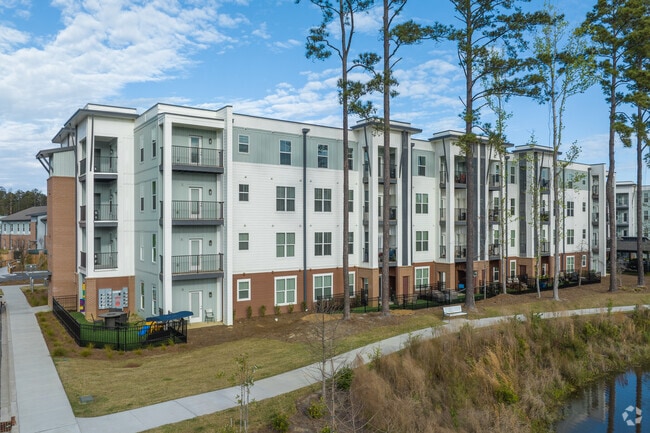 Restore at Carolina Park 55+ Apartment Homes, Mount Pleasant, SC 29466 - photo 7