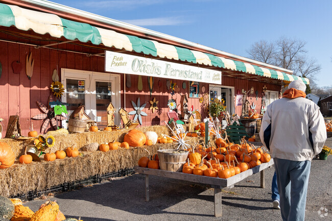 Olishs Farm is a great local farm in Eastport.