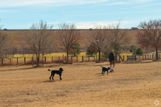Kennedy Dog Park is a large dog park with tons of room to play, and a separate low energy area.