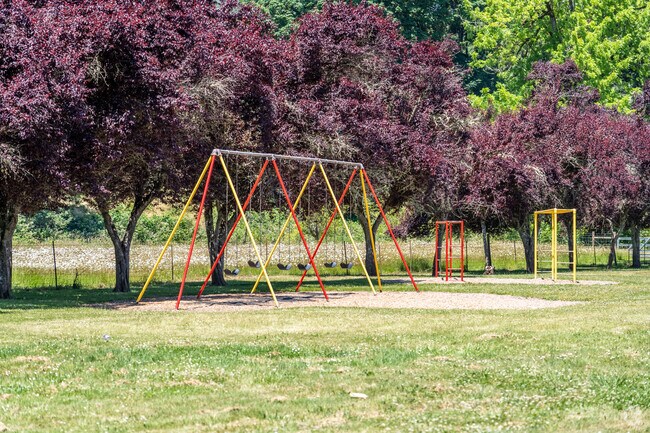 Walterville Elementary School has swings for students to play on in Outer Springfield.
