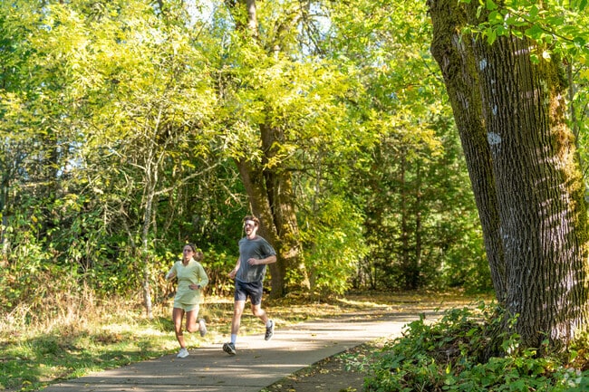 Cook Family Park visitors can enjoy secluded recreation surrounded by trees.