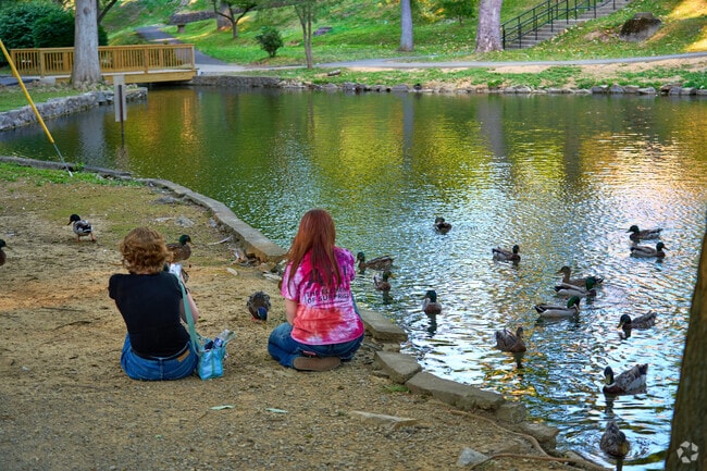 Visitors can enjoy the scenic waterfowl in nearby Hagerstown City Park, just a 5 minutes drive from Halfway.