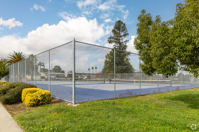 The tennis courts at Sierramont Middle School are some of the bests in the area.