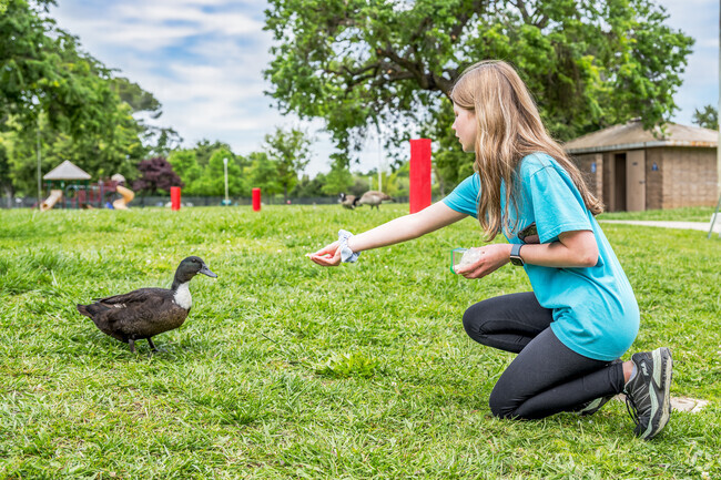 This girl loves feeding the ducks at the nearby parks in Cordova Gardens.