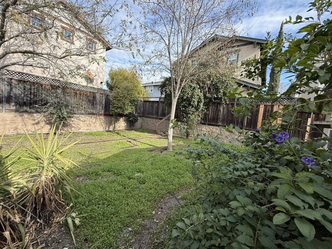 2875 Euclid Ave unit B, Concord, CA 94519 - photo 3