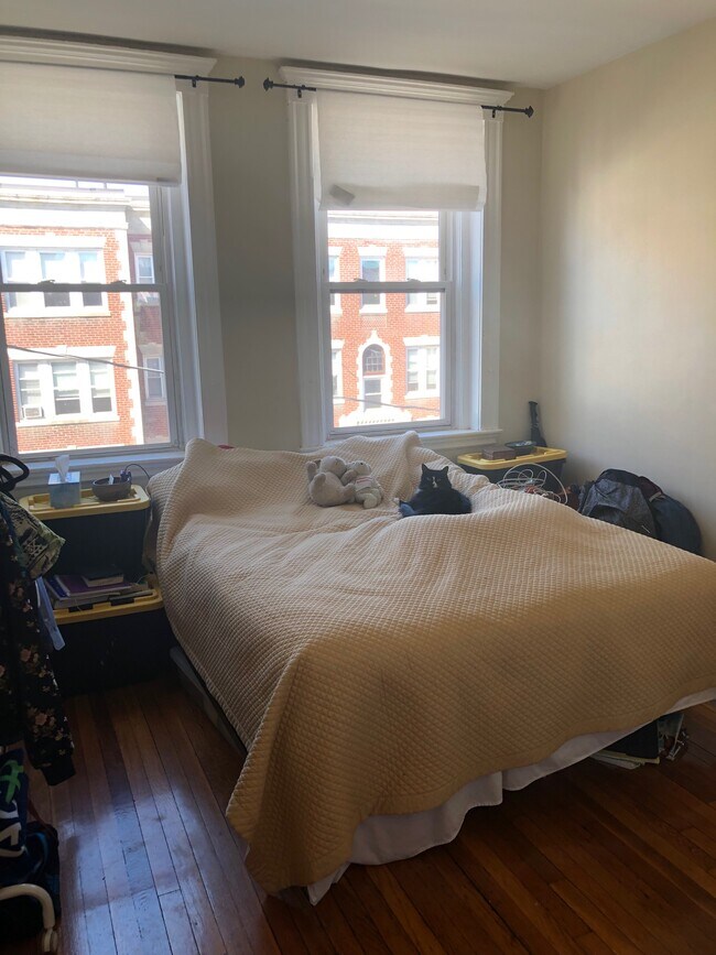 120 Brainerd Rd unit 3, Allston, MA 02134 - photo 5