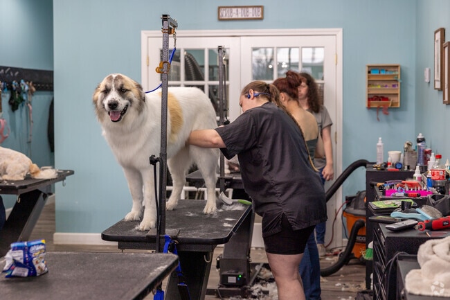 Laralea's Dog Spa next to Cedar Ridge offers dog grooming for any size dog.