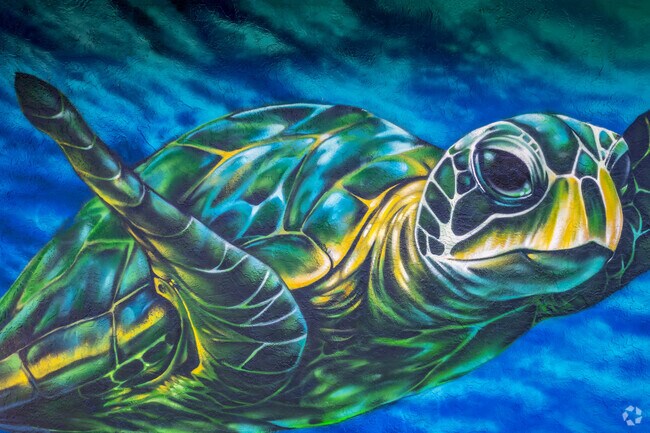 There are many art murals around Treasure Island neighborhood for you to enjoy Florida.