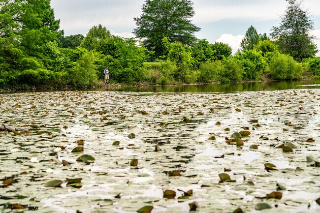 Liberty Park has a popular fishing lake.