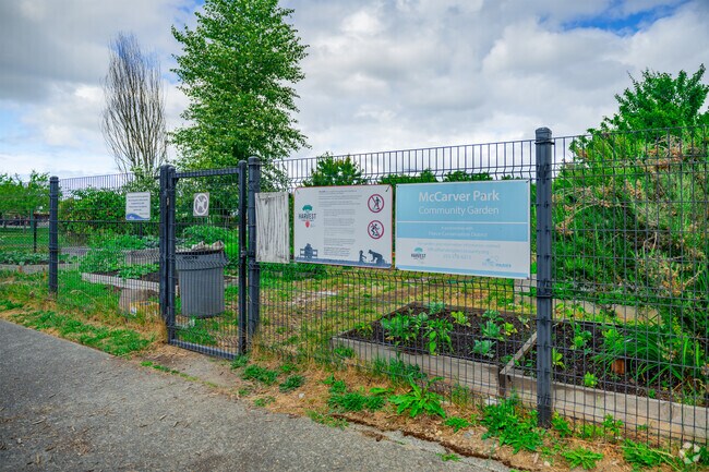 Head to the Hilltop Community Garden at McCarver Park to put your green thumb to work.