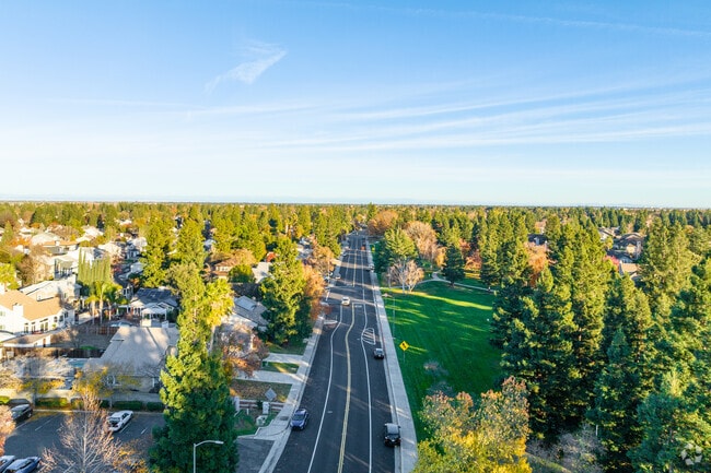 Laguna is a green and lush neighborhood.