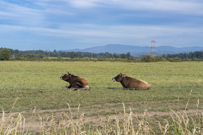 Jeffers Garden is bordered by beautiful acres of farmland and cattle.