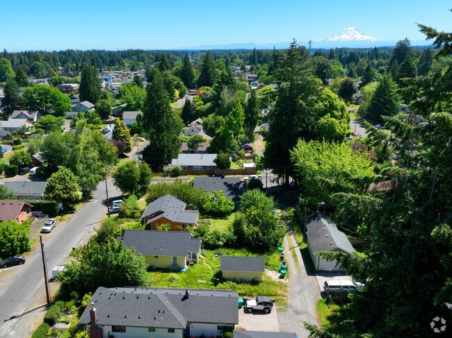 The beautiful tree lined streets of the Eastside neighborhood.