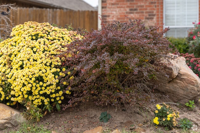Create vibrant landscapes in a yard of a home in Warwick.